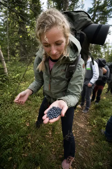 Kvällsläger i skymning