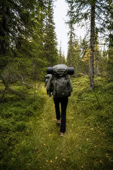 Vandrare på kalfjäll