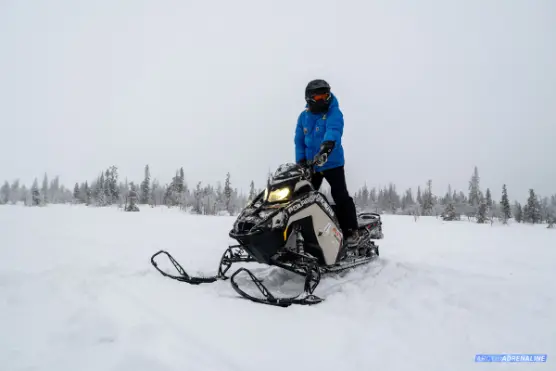 Skymning över fjället