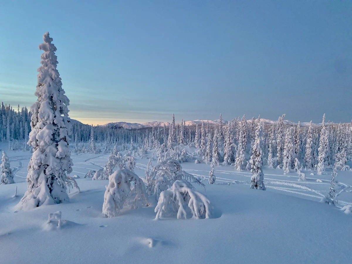 Hotellets entré, skymning, varmt ljus