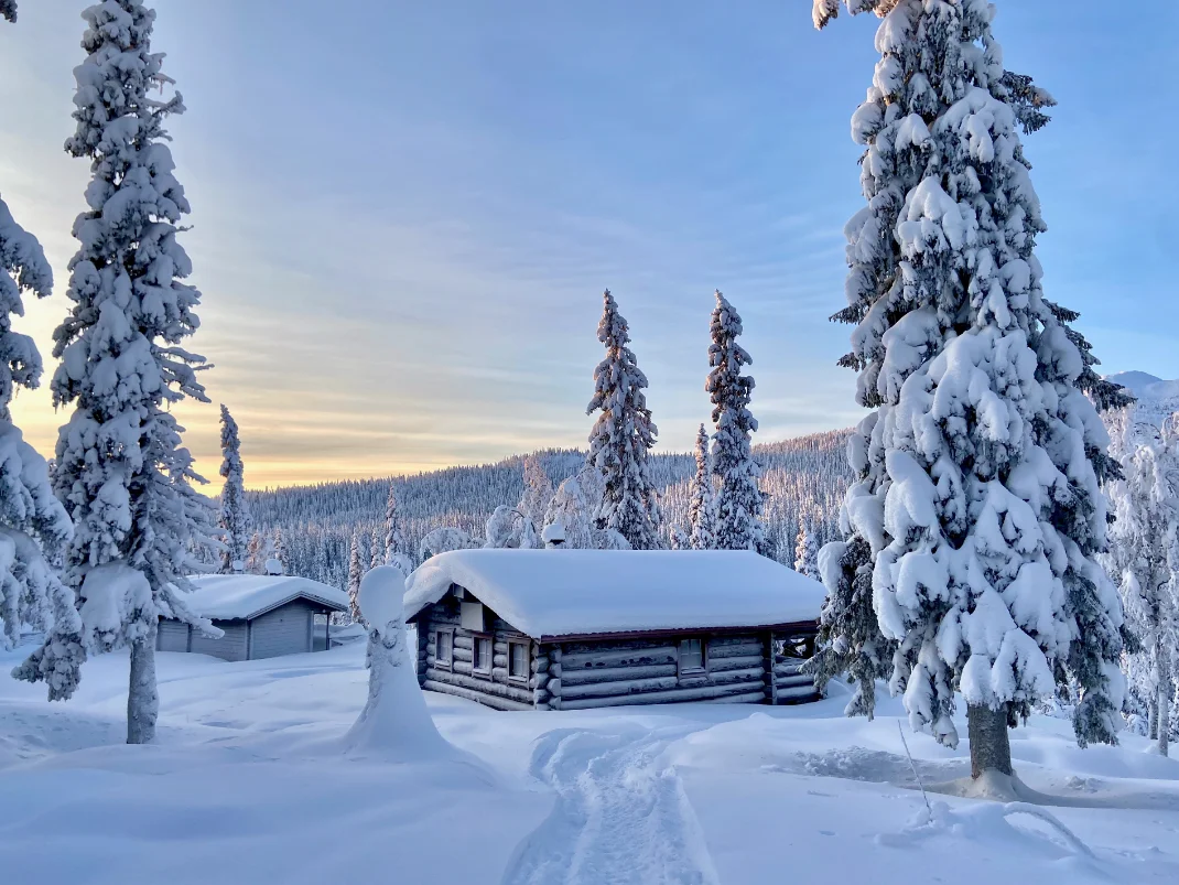 Skottbodlandet, timmerstuga, stjärnhimmel eller norrsken