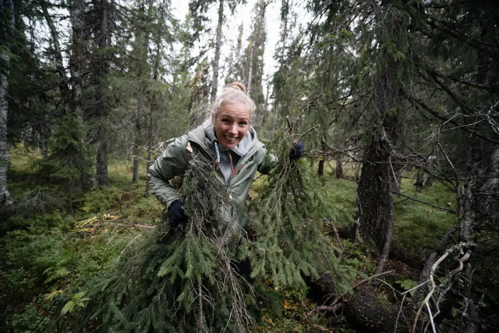 Bushcraft, lägereld i skogsglänta, varma toner