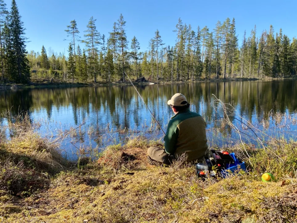 Flugfiske, öring och harr i fjällvatten