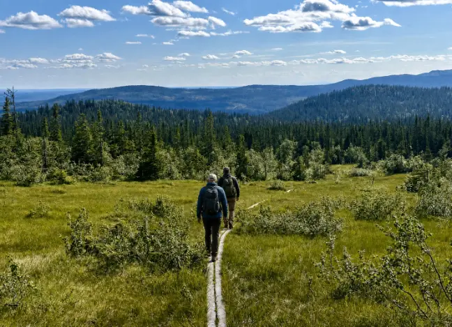 Fjällvandring, panorama från Stakafjället