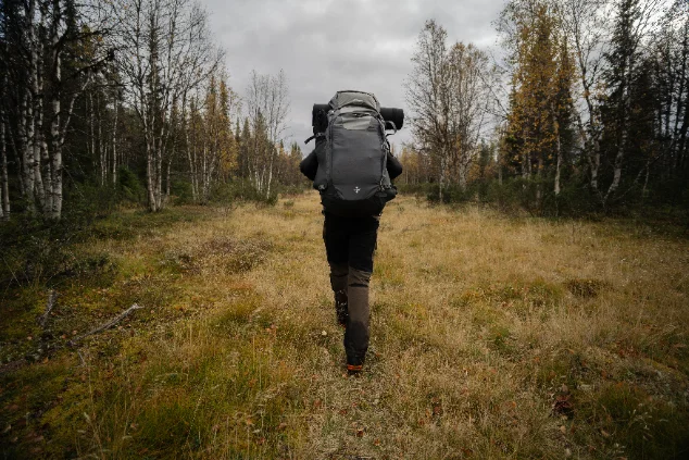 Lägereld i skogsglänta, varma toner