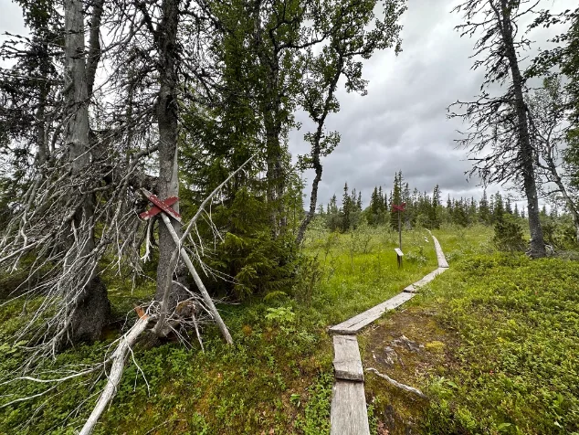 Vandrare på fjällkam med panoramautsikt