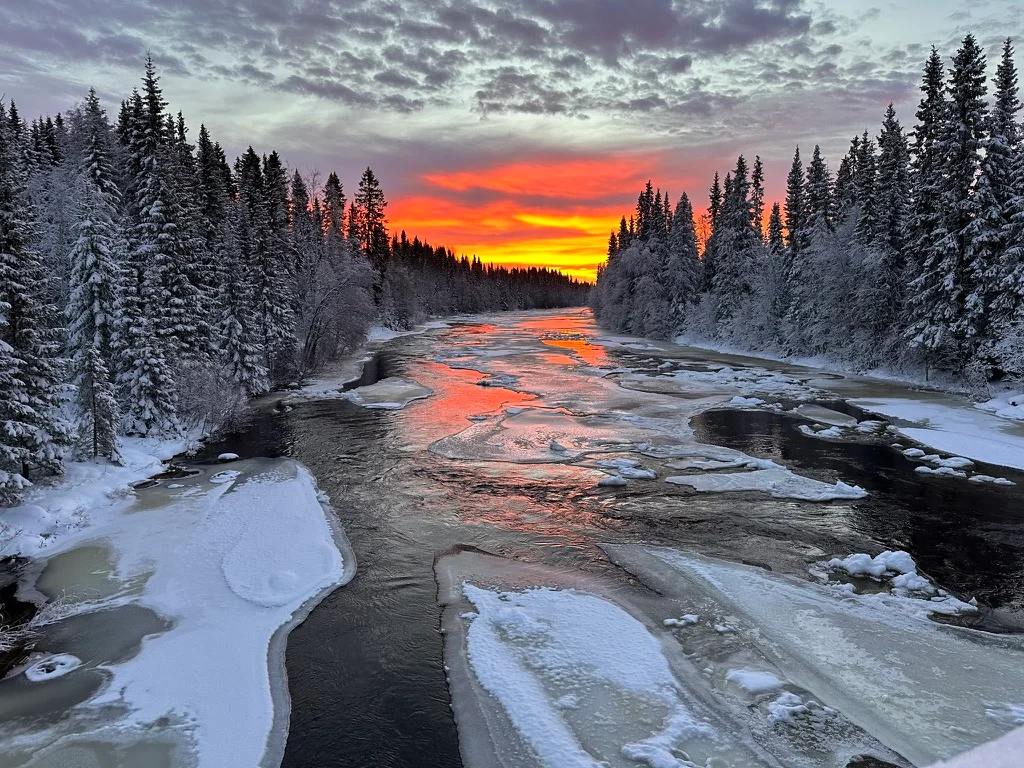 Norrsken eller skymningslandskap
