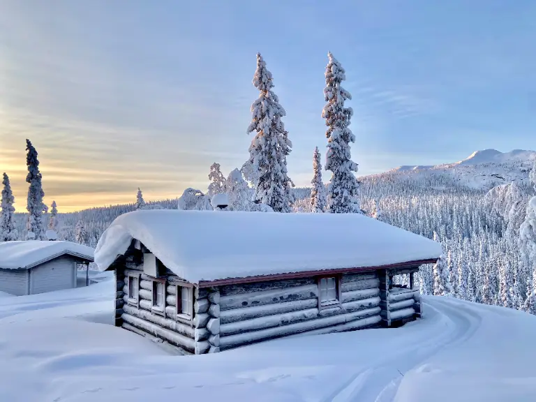 Skottbodlandet, stjärnhimmel eller norrsken