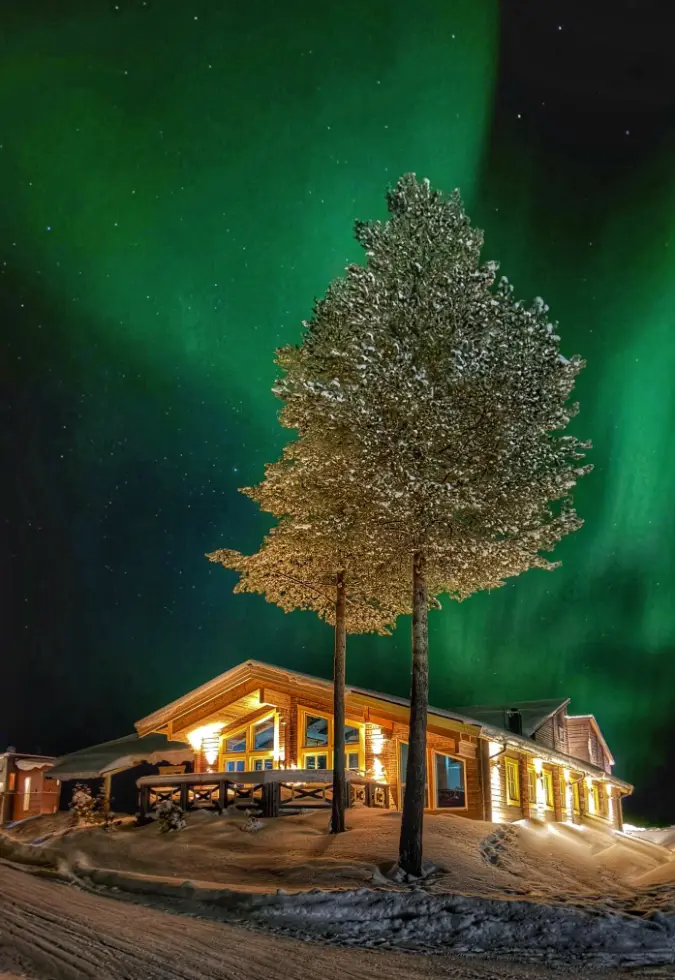 Norrsken, gröna sjok över snötäckt skog