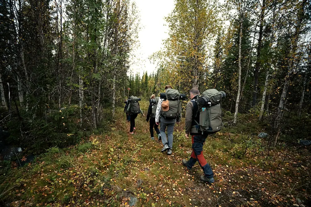 Fjällvandring, panorama från Stakafjället