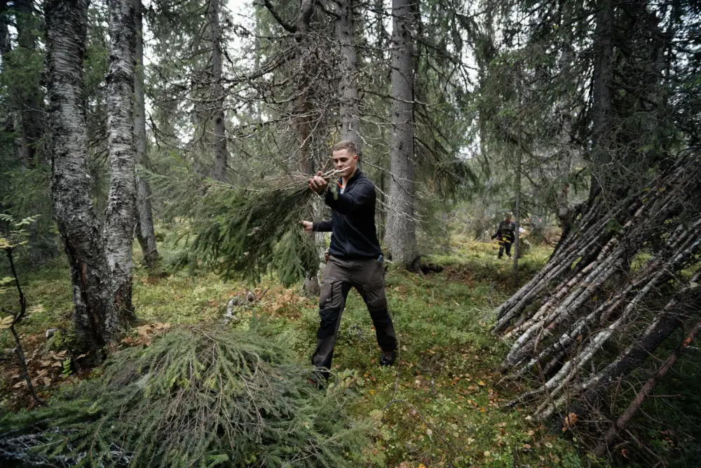 Bushcraft, lägereld i skogsglänta, varma toner