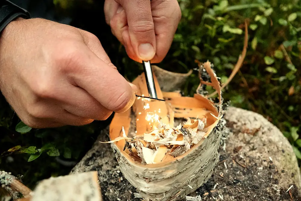 Bushcraft, lägereld i skogsglänta, varma toner
