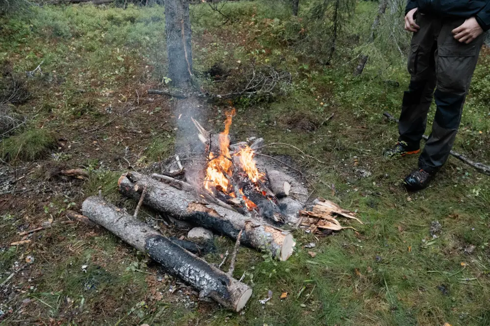 Bushcraft, lägereld i skogsglänta, varma toner