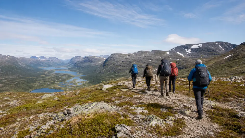 Utsikt från toppen